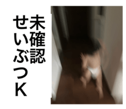 724606677