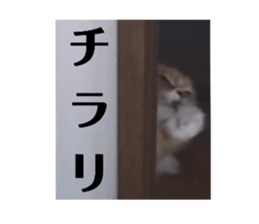 724635547
