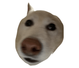 724642478