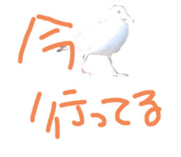 724653780
