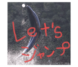 724653781