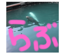 724653782