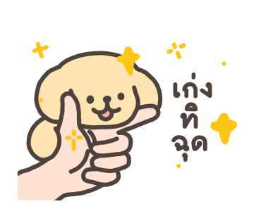 ลายที่ 11