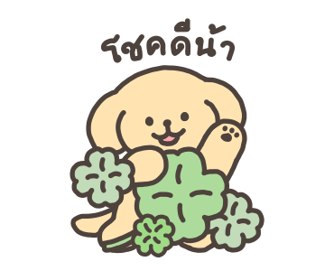 ลายที่ 17