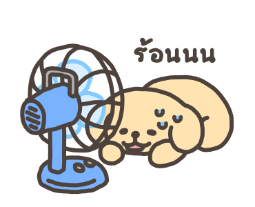 ลายที่ 39