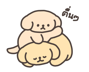 ลายที่ 41