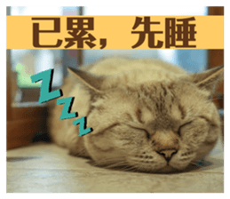 724701233