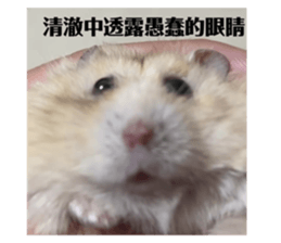 724704054