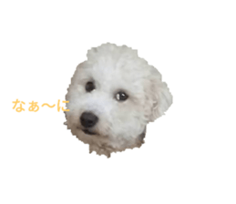 724709502
