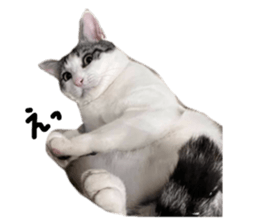 724730145