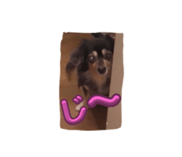724731675