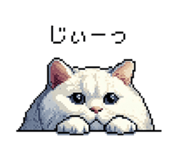 724769089