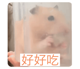 724779571