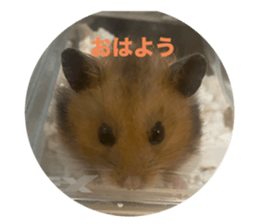 724790249