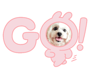 724797308
