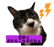 724821834
