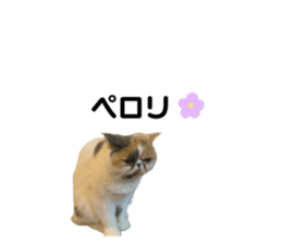 724835996