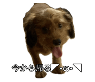 724836439