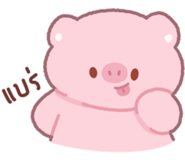 ลายที่ 23