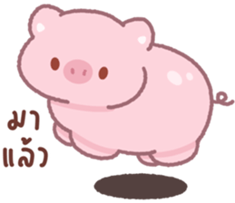 ลายที่ 45