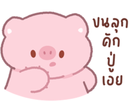 ลายที่ 49