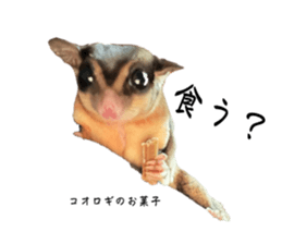 724892635