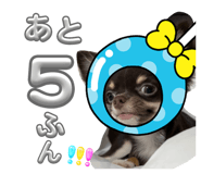 724892926