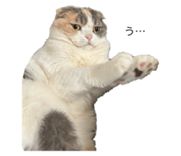 724911259