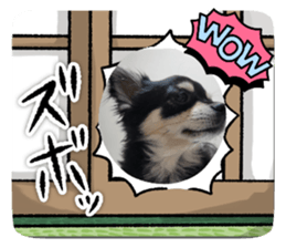 724928892