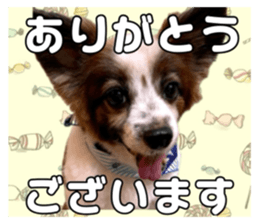 724934764