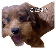 724946958