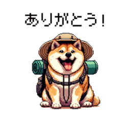 724956048