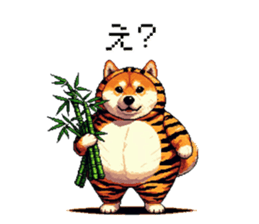 724957053