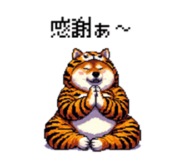 724957054
