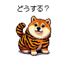 724957082