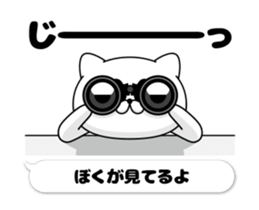 72496843
