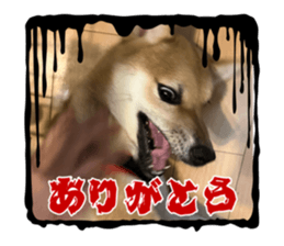 724969395
