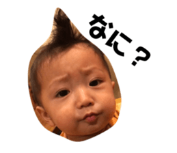 72497812