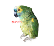724981480