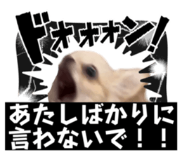 724981485
