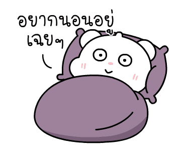 ลายที่ 41