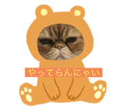 725025044