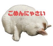 725025045
