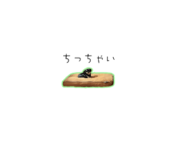 725025216