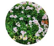 725043385
