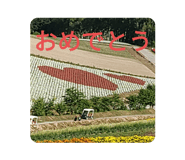 725043394