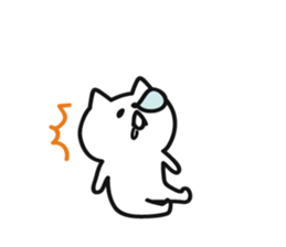 7250569
