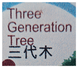 725091077