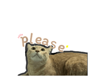 725097925