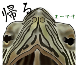 725142192
